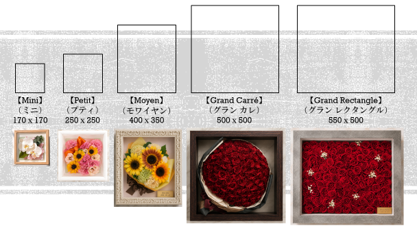 Tapis サイズ比較表